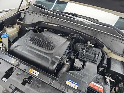 현대 맥스크루즈 R2.2 2WD 익스클루시브 사진 5