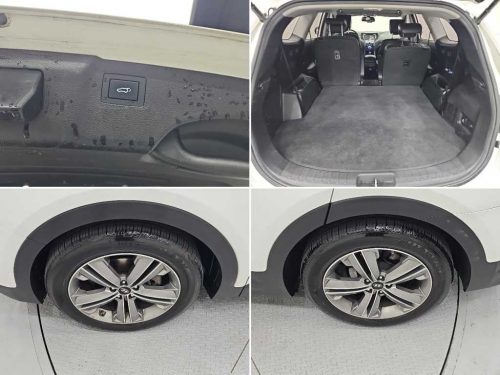현대 맥스크루즈 R2.2 2WD 익스클루시브 사진 20