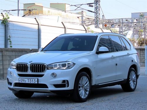 BMW X5 (F15) xDrive 30d 사진 2