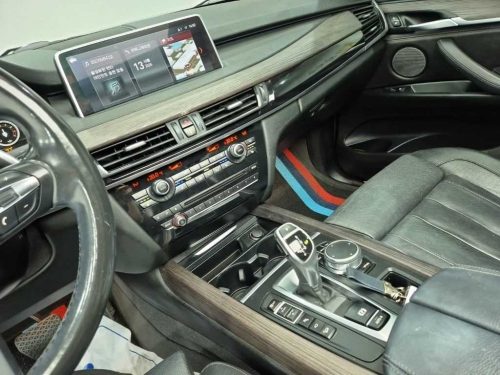 BMW X5 (F15) xDrive 40d 사진 10