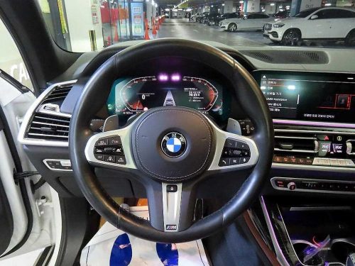 BMW X7 (G07) xDrive 40d M 스포츠 사진 8