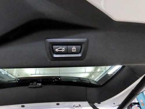 BMW X7 (G07) xDrive 40d M 스포츠 사진 15