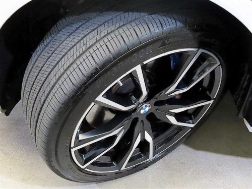 BMW X7 (G07) xDrive 40d M 스포츠 사진 20