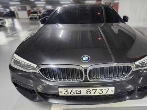 BMW 5시리즈 (G30)