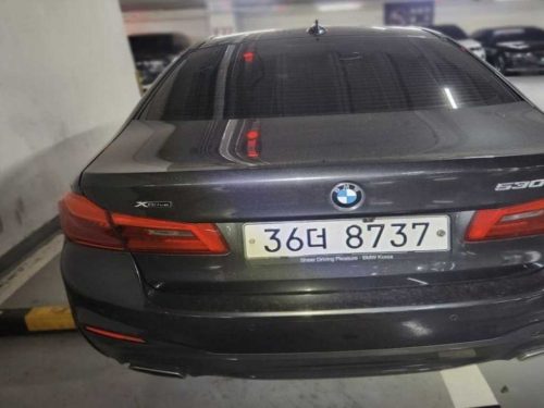 BMW 5시리즈 (G30) 530i xDrive M 스포츠 사진 2