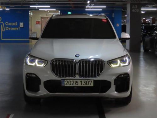 BMW X5 (G05) xDrive 30d M 스포츠