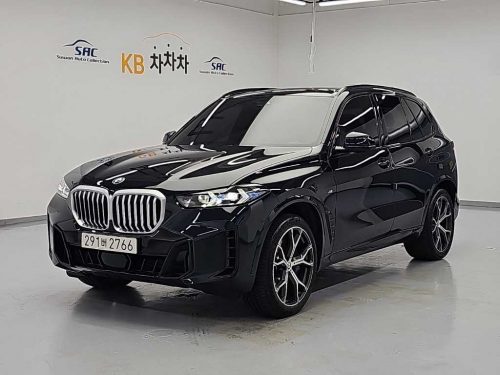 BMW X5 (G05) xDrive 30d M 스포츠