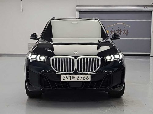 BMW X5 (G05) xDrive 30d M 스포츠 사진 2