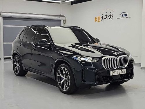 BMW X5 (G05) xDrive 30d M 스포츠 사진 4