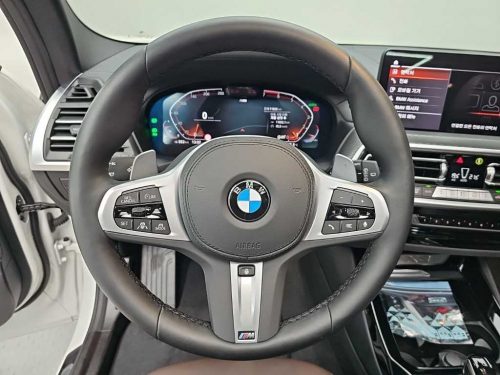 BMW X3 (G01) xDrive 20i M 스포츠 프로 사진 8