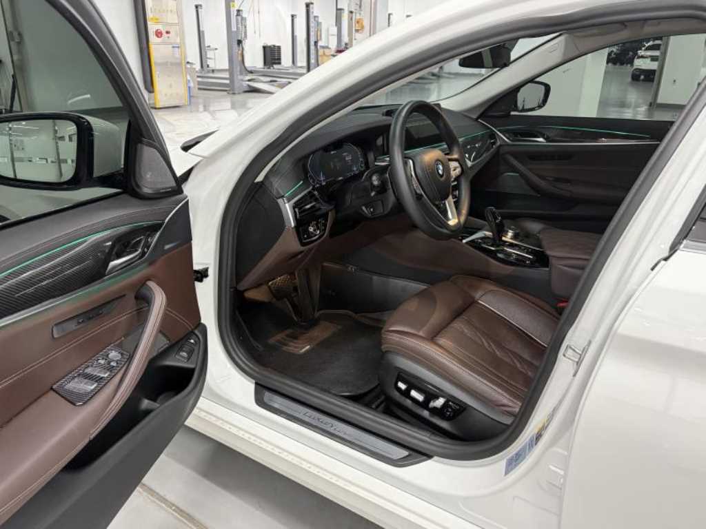 BMW 5시리즈 (G30) 530e 럭셔리 사진 6