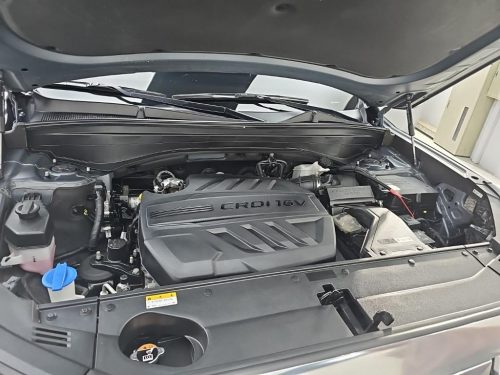 현대 더 뉴 팰리세이드 디젤 2.2 2WD 사진 6