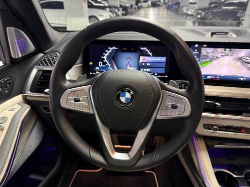BMW X7 (G07) xDrive 40i 디자인 퓨어 엑셀런스 6인승 사진 9
