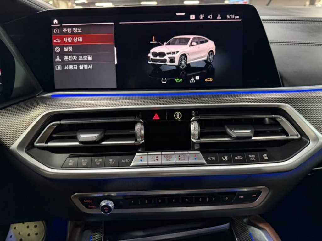 BMW X6 (G06) xDrive 40i M 스포츠 사진 10