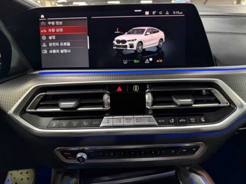 BMW X6 (G06) xDrive 40i M 스포츠 사진 10