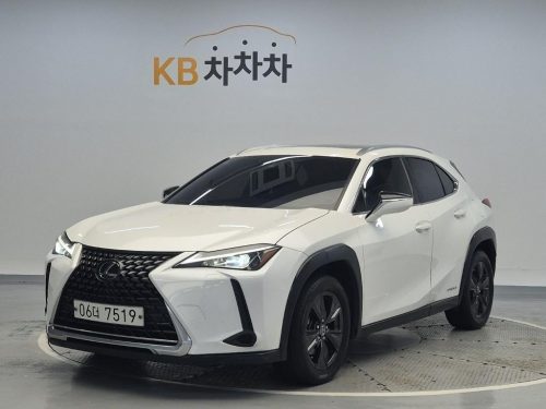 렉서스 UX 250h 2.0 2WD
