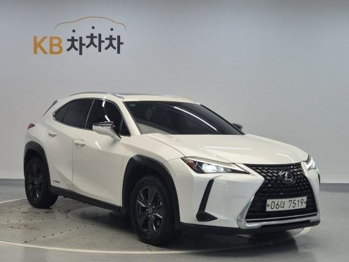 렉서스 UX 250h 2.0 2WD 사진 3