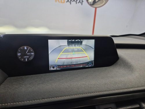 렉서스 UX 250h 2.0 2WD 사진 10