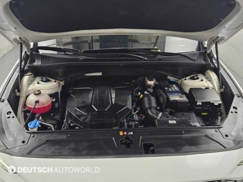 현대 더 뉴 싼타페 디젤 2.2 2WD 프레스티지 사진 6