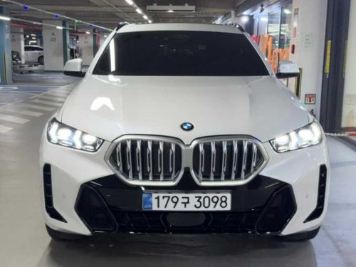 BMW X6 (G06) xDrive 30d M 스포츠