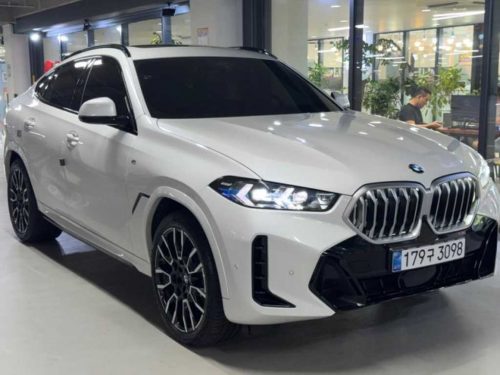 BMW X6 (G06) xDrive 30d M 스포츠 사진 2