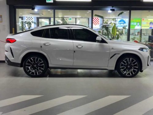 BMW X6 (G06) xDrive 30d M 스포츠 사진 3