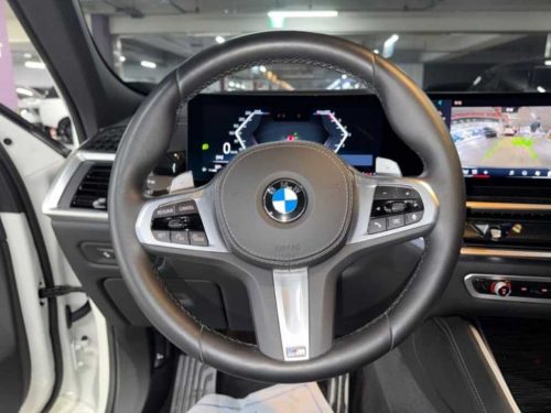 BMW X6 (G06) xDrive 30d M 스포츠 사진 8