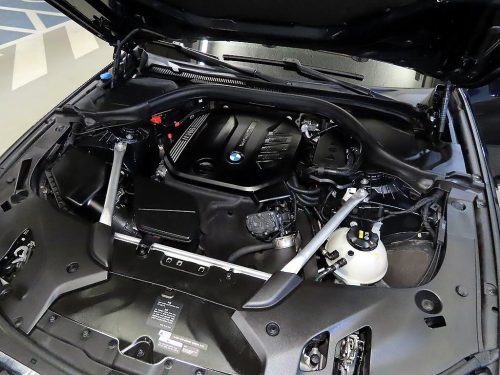 BMW 5시리즈 (G60) 520i 사진 19