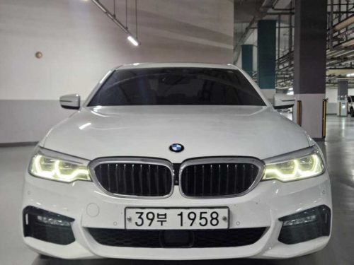 BMW 5시리즈 (G30) 520d M 스포츠 플러스