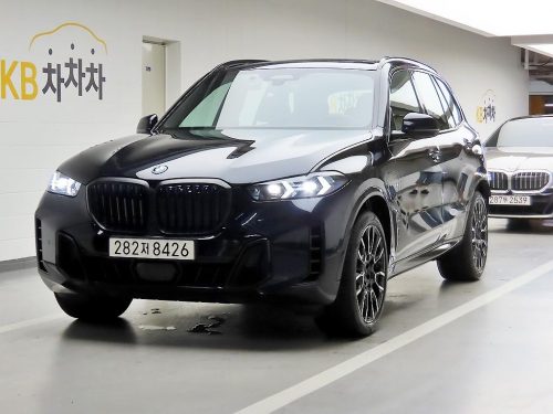 BMW X5 (G05) xDrive 50e xLine 사진 2
