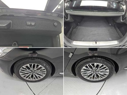 Kia The K9 3.8 GDI AWD Platinum photo 18