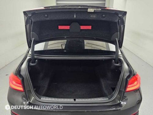 BMW 5시리즈 (G30) 520d 럭셔리 플러스 사진 19