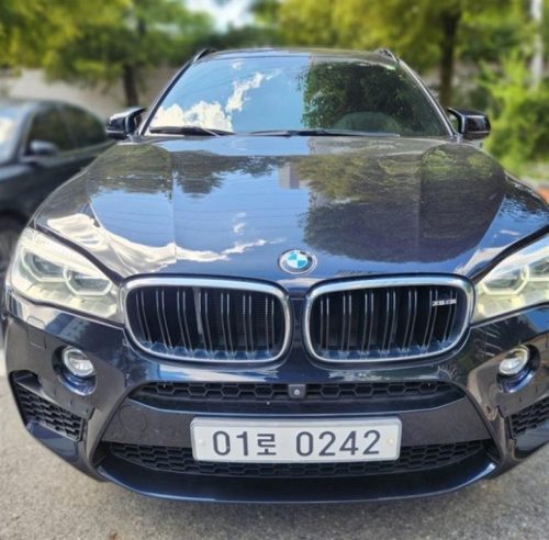 BMW X6M (F86)