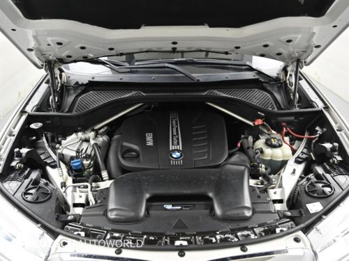 BMW X6 (F16) xDrive 40d M 스포츠 사진 6