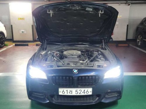 BMW 5시리즈 (F10) 520d xDrive 사진 2