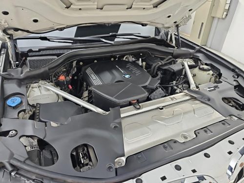 BMW X4 (G02) xDrive 20d M 스포츠 사진 6