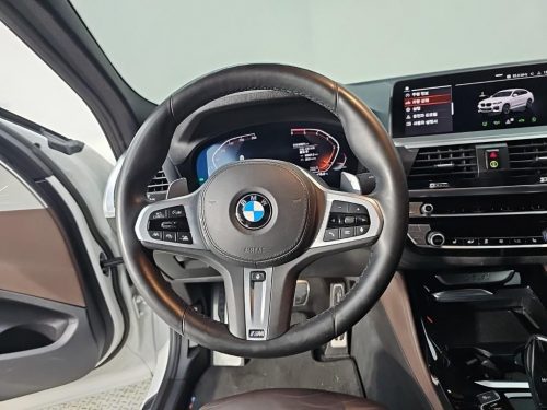 BMW X4 (G02) xDrive 20d M 스포츠 사진 9