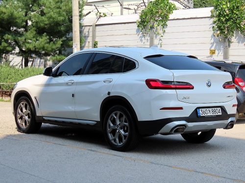 BMW X4 (G02) xDrive 20i xLine 사진 3