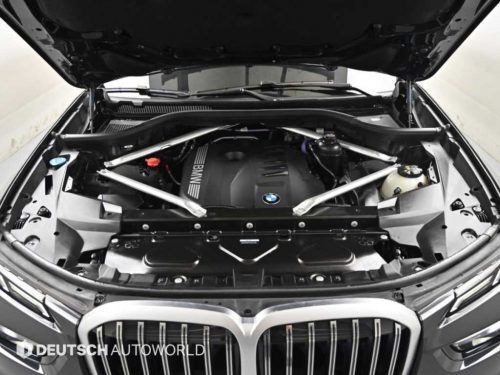 BMW X7 (G07) xDrive 40i M 스포츠 사진 6