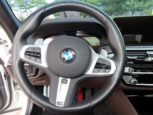 BMW 5시리즈 (G30) 530i M 스포츠 사진 8