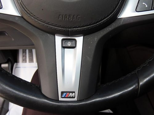 BMW X4 (G02) xDrive 20i M 스포츠 프로 사진 10
