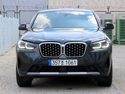 BMW X4 (G02) xDrive 20i xLine
