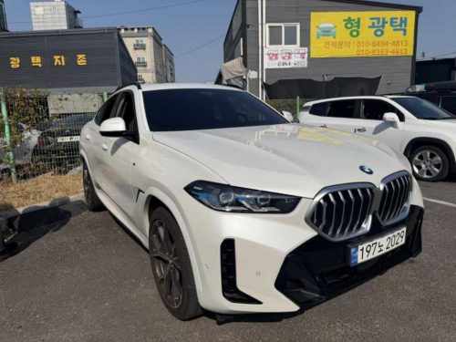 BMW X6 (G06) xDrive 30d M 스포츠 사진 2