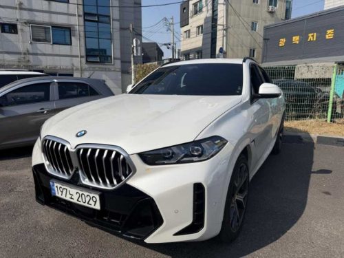 BMW X6 (G06) xDrive 30d M 스포츠 사진 3