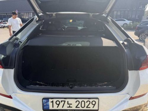 BMW X6 (G06) xDrive 30d M 스포츠 사진 5