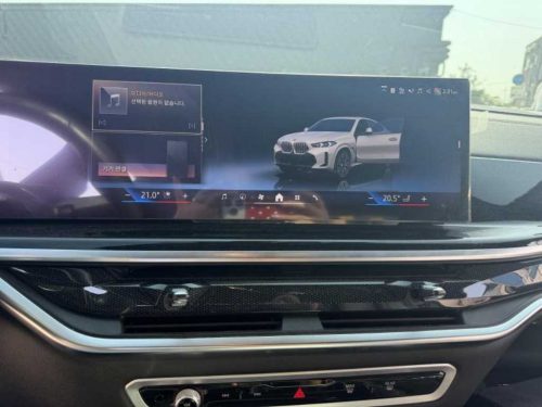 BMW X6 (G06) xDrive 30d M 스포츠 사진 12