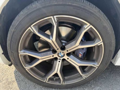 BMW X6 (G06) xDrive 30d M 스포츠 사진 16