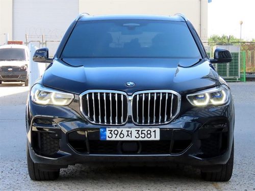 BMW X5 (G05) xDrive 30d M 스포츠