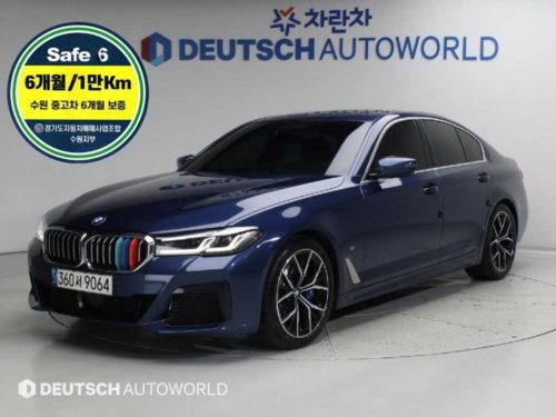 BMW 5시리즈 (G30) 530i M 스포츠