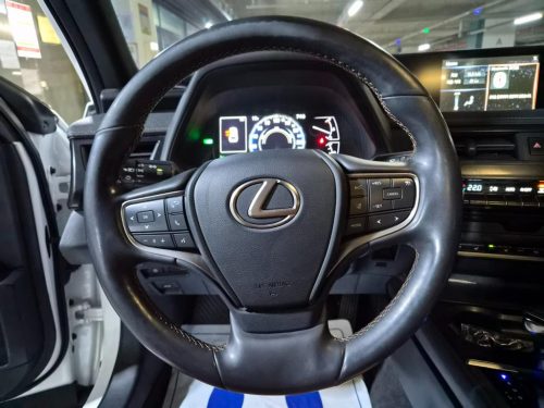 렉서스 UX 250h 2.0 2WD 사진 8